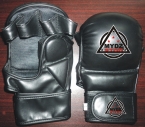 MMA Gloves